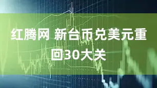 红腾网 新台币兑美元重回30大关
