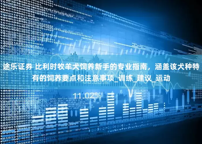 途乐证券 比利时牧羊犬饲养新手的专业指南，涵盖该犬种特有的饲养要点和注意事项_训练_建议_运动