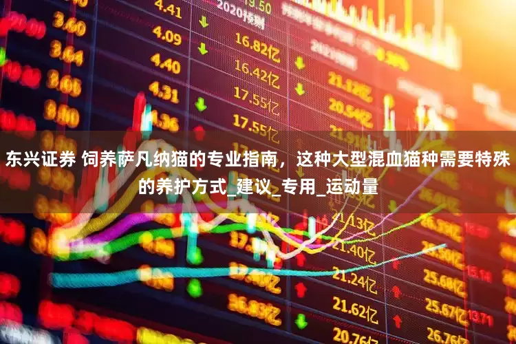 东兴证券 饲养萨凡纳猫的专业指南，这种大型混血猫种需要特殊的养护方式_建议_专用_运动量
