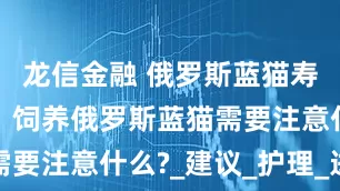 龙信金融 俄罗斯蓝猫寿命是多久，饲养俄罗斯蓝猫需要注意什么?_建议_护理_进行