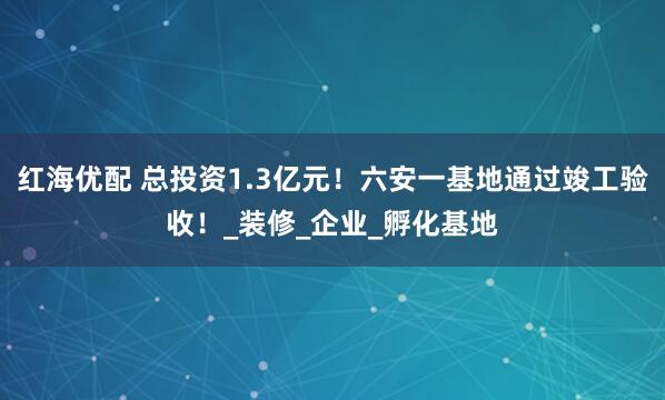 红海优配 总投资1.3亿元！六安一基地通过竣工验收！_装修_企业_孵化基地