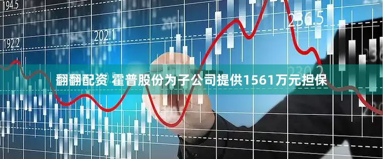 翻翻配资 霍普股份为子公司提供1561万元担保